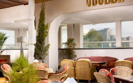 Odella – Green Park – 4.2 Rating – ₹2700 approx for two, exclusive of alcohol and taxes – Luxe Rooftop Bar & Dining