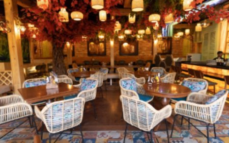 Essex Village Kitchen & Bar – Adchini – 4.1 Rating – ₹1800 approx for two, exclusive of alcohol and taxes – Cozy Casual Dining & Bowling Cafe